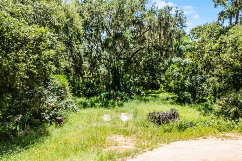 Land in Clermont, Florida № 1840176 - photo 11
