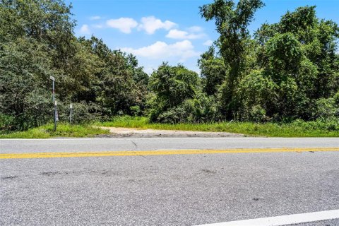 Land in Clermont, Florida № 1840176 - photo 3