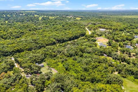 Land in Clermont, Florida № 1840176 - photo 20