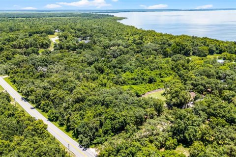 Land in Clermont, Florida № 1840176 - photo 22