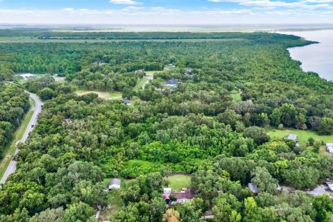 Land in Clermont, Florida № 1840176 - photo 19