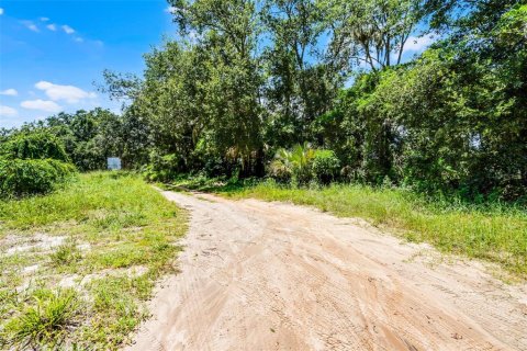 Land in Clermont, Florida № 1840176 - photo 5
