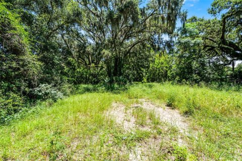 Land in Clermont, Florida № 1840176 - photo 4