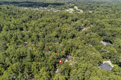 House in Gainesville, Florida 3 bedrooms, 130.9 sq.m. № 1884428 - photo 27