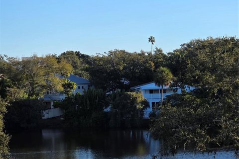 Copropriété à louer à Belleair, Floride: 2 chambres, 123.1 m2 № 2429271 - photo 14