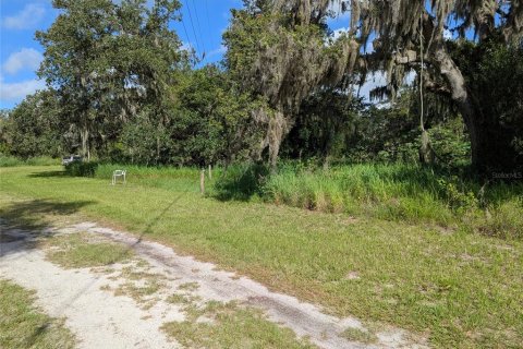 Terrain à vendre à Arcadia, Floride № 1780976 - photo 5