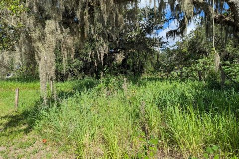 Terrain à vendre à Arcadia, Floride № 1780976 - photo 6