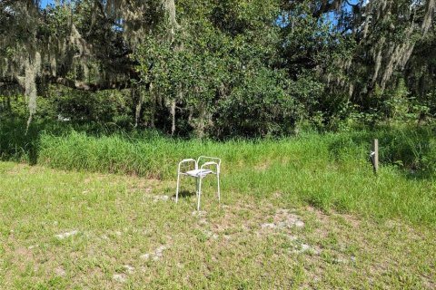 Terrain à vendre à Arcadia, Floride № 1780976 - photo 4