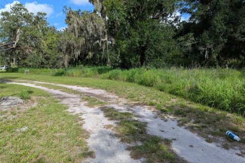 Terrain à vendre à Arcadia, Floride № 1780976 - photo 3
