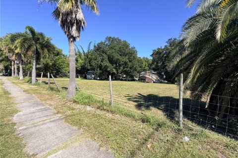 Commercial property in Clearwater, Florida 179.86 sq.m. № 2427343 - photo 7