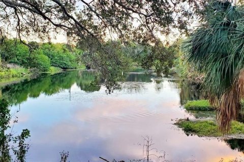 Copropriété à louer à Clearwater, Floride: 2 chambres, 80.82 m2 № 2157445 - photo 25