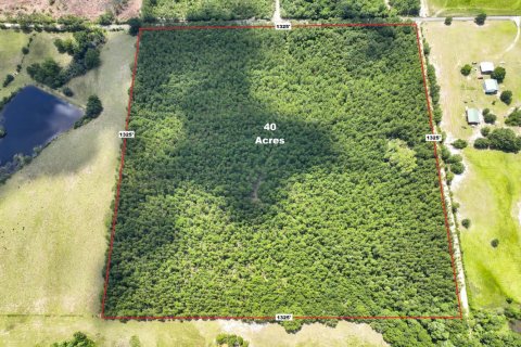 Land in De Funiak Springs, Florida № 590072 - photo 1