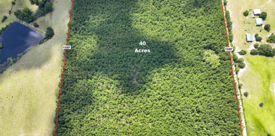 Land in De Funiak Springs, Florida № 590072