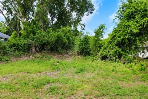 Land in Hernando, Florida № 2362499