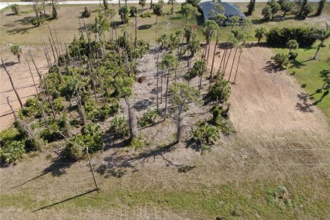 Terreno en venta en Rotonda, Florida № 1812411 - foto 2