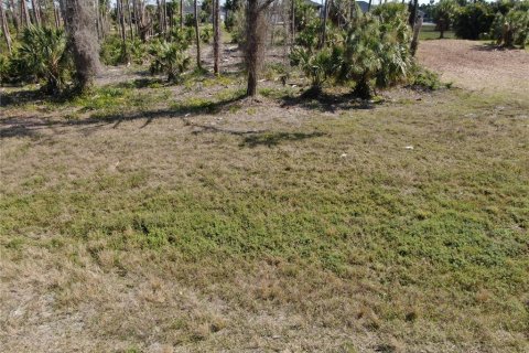Terreno en venta en Rotonda, Florida № 1812411 - foto 7
