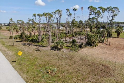 Terreno en venta en Rotonda, Florida № 1812411 - foto 9