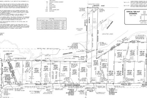Terreno en venta en Arcadia, Florida № 1284174 - foto 2