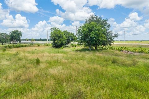 Terreno en venta en Okeechobee, Florida № 2167777 - foto 13