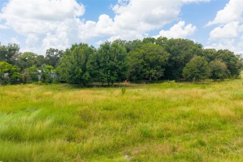 Terreno en venta en Okeechobee, Florida № 2167777 - foto 17