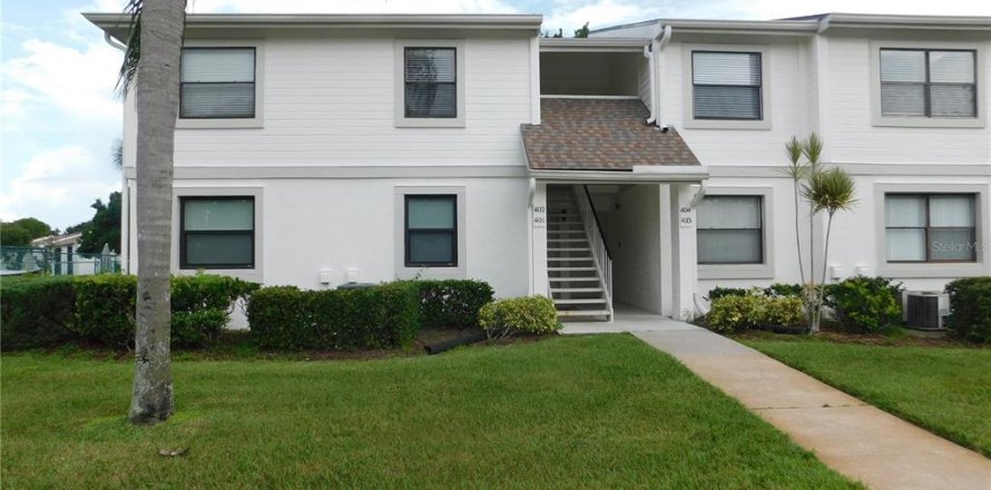 Condominio en Oldsmar, Florida, 1 dormitorio  № 1908061