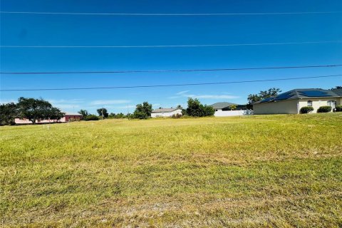 Land in Cape Coral, Florida № 2211677 - photo 4