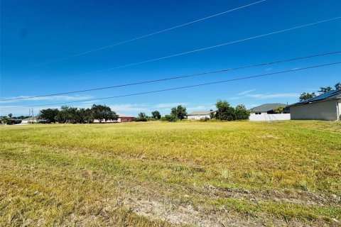 Land in Cape Coral, Florida № 2211677 - photo 2