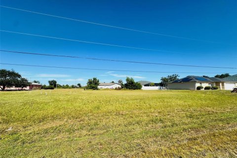 Land in Cape Coral, Florida № 2211677 - photo 3