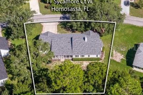 House in Homosassa, Florida 3 bedrooms, 229.1 sq.m. № 1879459 - photo 12