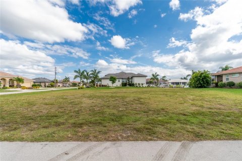 Land in Punta Gorda, Florida № 916668 - photo 1