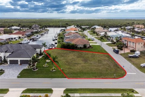 Land in Punta Gorda, Florida № 916668 - photo 13
