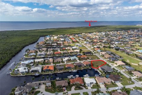 Land in Punta Gorda, Florida № 916668 - photo 3