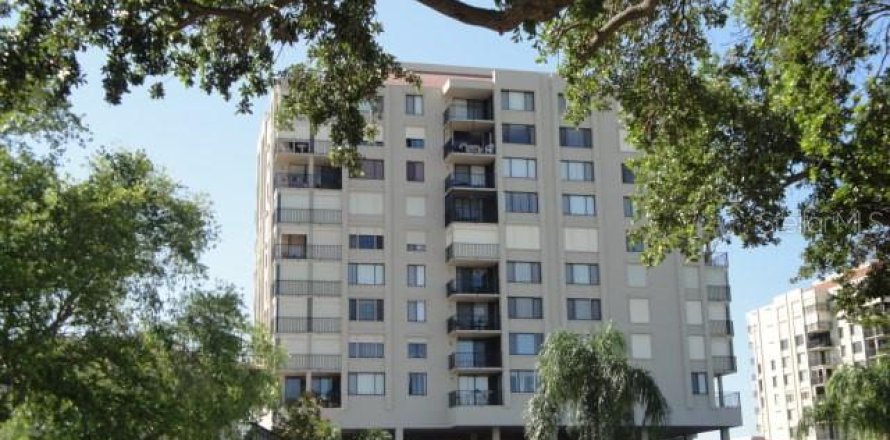 Condo à Saint Petersburg, Floride, 2 chambres № 1873269