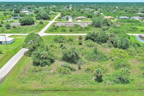 Terreno en venta en Lehigh Acres, Florida № 2164340 - foto 7
