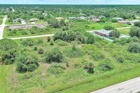 Terreno en venta en Lehigh Acres, Florida № 2164340 - foto 5