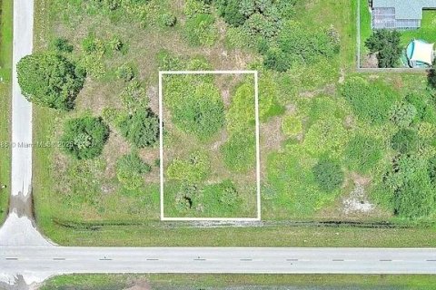 Terreno en venta en Lehigh Acres, Florida № 2164340 - foto 2