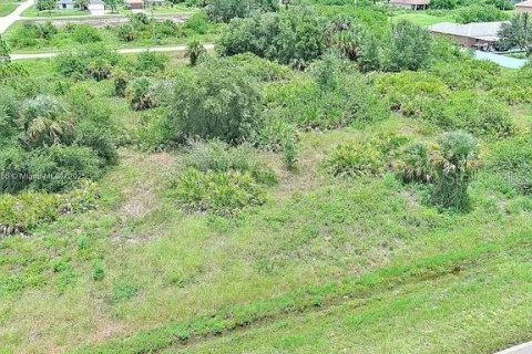 Terreno en venta en Lehigh Acres, Florida № 2164340 - foto 4