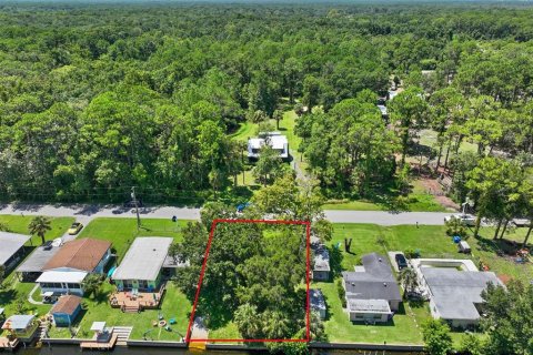 Terreno en venta en Weeki Wachee, Florida № 639756 - foto 10