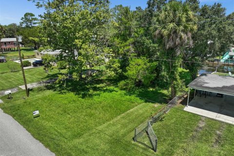 Terreno en venta en Weeki Wachee, Florida № 639756 - foto 7