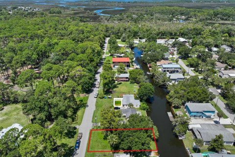 Terreno en venta en Weeki Wachee, Florida № 639756 - foto 17