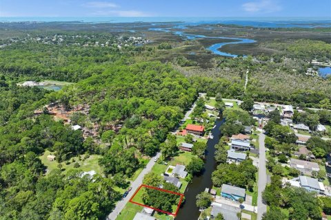 Terreno en venta en Weeki Wachee, Florida № 639756 - foto 3