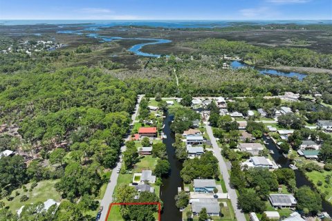Terreno en venta en Weeki Wachee, Florida № 639756 - foto 13
