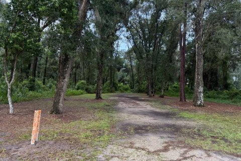 Terrain à vendre à DeLand, Floride № 1918735 - photo 1