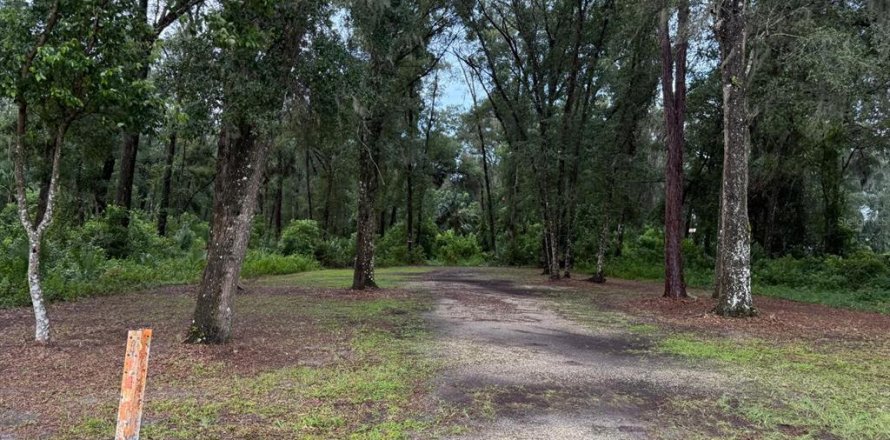 Terrain à DeLand, Floride № 1918735