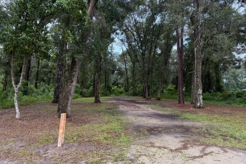 Terrain à vendre à DeLand, Floride № 1918735 - photo 6