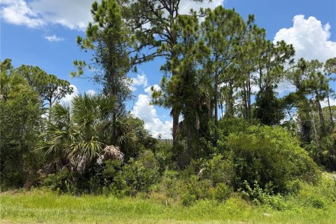 Land in North Port, Florida № 2228151 - photo 8