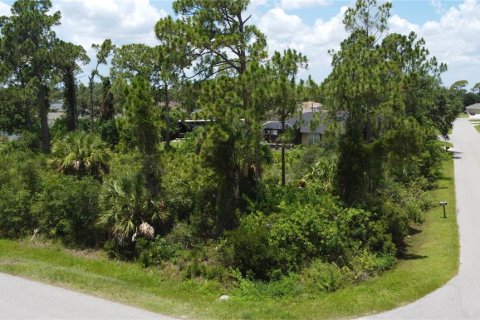 Land in North Port, Florida № 2228151 - photo 5