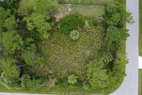 Land in North Port, Florida № 2228151 - photo 2