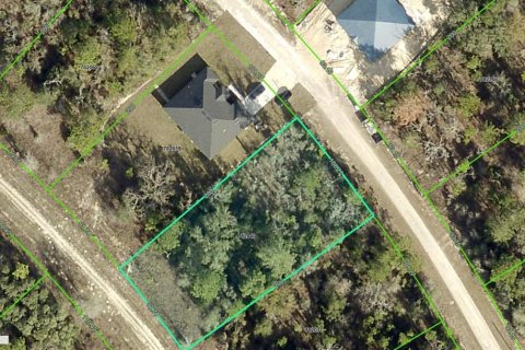Terreno en Brooksville, Florida № 2205735