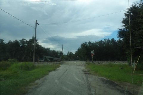 Land in Mulberry, Florida № 2380329 - photo 2